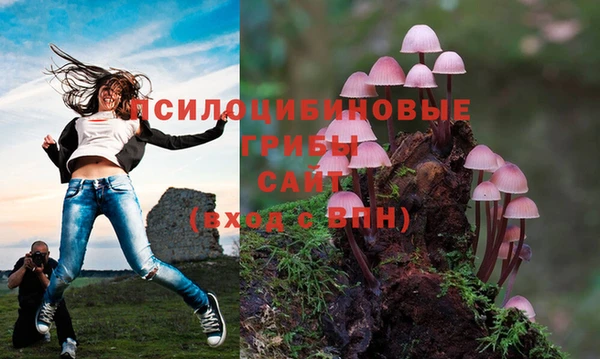 spice Белоозёрский