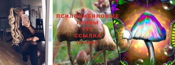 спиды Богородск