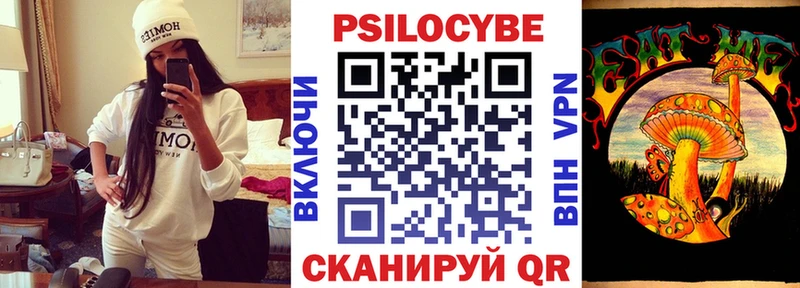 Псилоцибиновые грибы Psilocybe  закладка  Великие Луки 